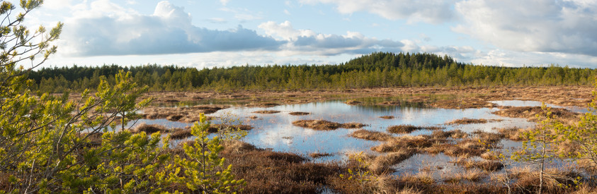 Ritassaarensuo - evening sun. Ritassaarensuo, yvinkää, Finland. 25.4.2018