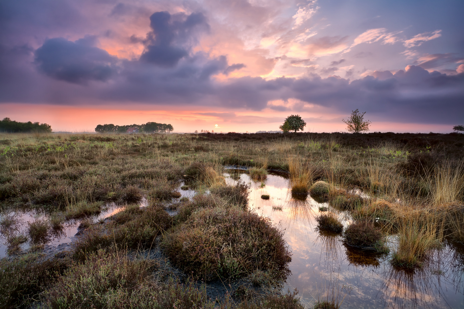 Warmer, ruhiger Sonnenuntergang über den Sümpfen in Drenthe